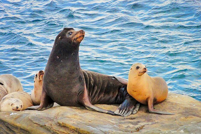 private-instagrammable-san-diego-tour-scenic-and-coastal