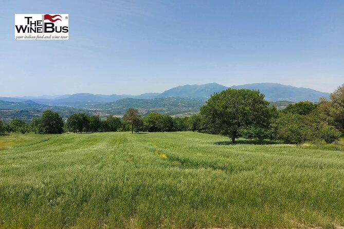 private-irpinia-gourmet-tour-from-positano-praiano-or-amalfi