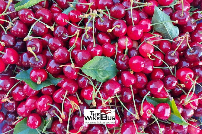 private-irpinia-gourmet-tour-from-sorrento-with-sommelier