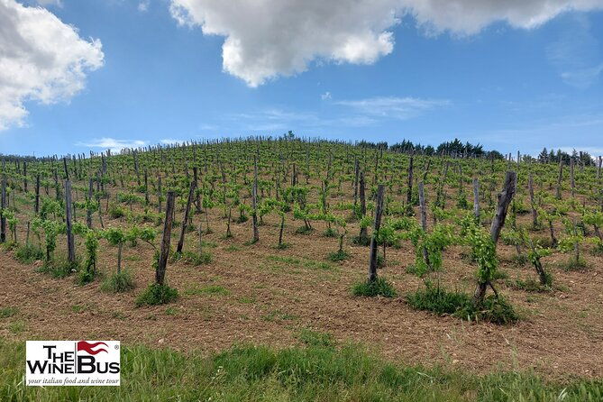 private-irpinia-wine-tour-from-naples-with-sommelier-2