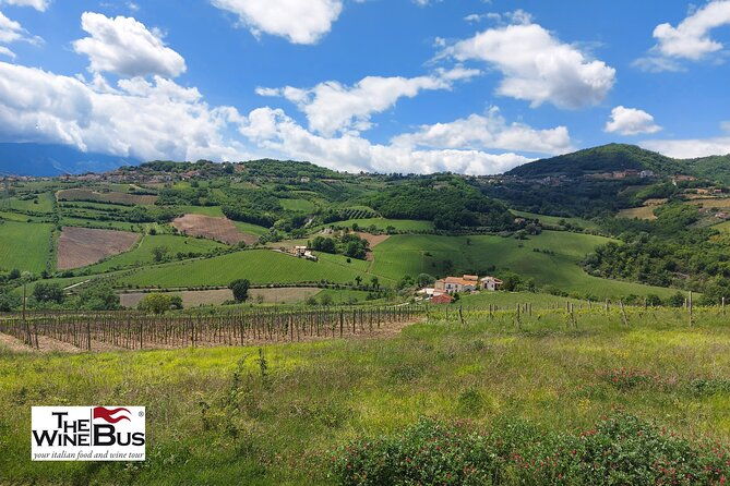 private-irpinia-wine-tour-from-positano-amalfi-or-ravello