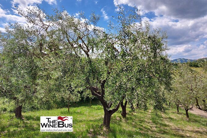 private-irpinia-wine-tour-from-sorrento-with-wine-expert