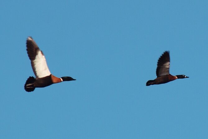 Private Island Day Tour with 6 Course Dining - What We Appreciated Based on Reviews and Details