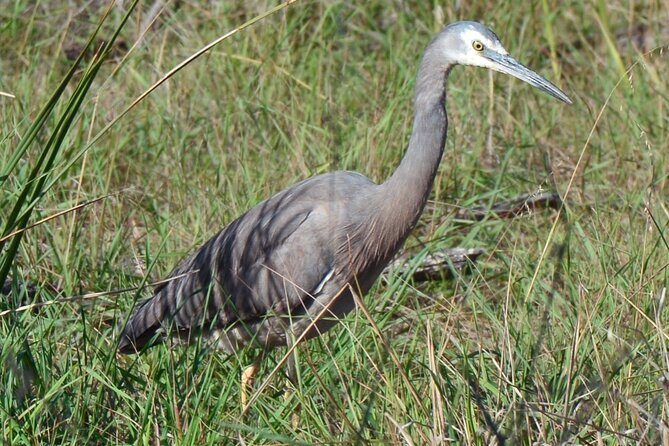 Private Island Day Tour with 6 Course Dining - FAQ