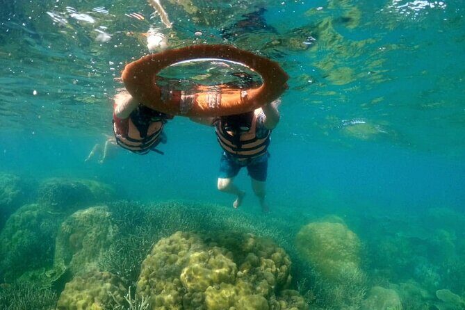 Private Island Hopping from Port Barton with Turtle Watching - The Sum Up