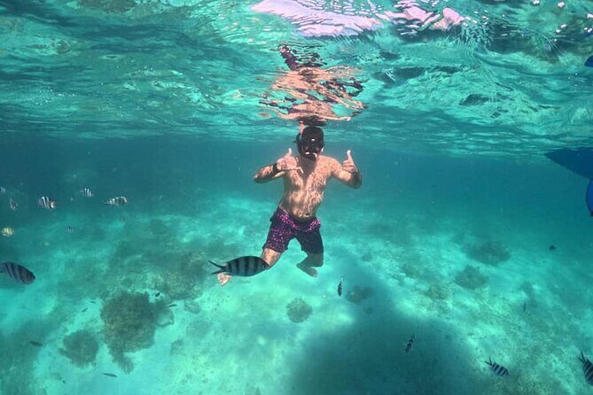 Private Island Hopping from Port Barton with Turtle Watching - FAQ