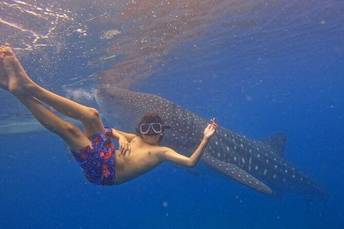 Private Island Hopping in Nasuluan, Hiltotongan and Caohngan - Return to Mactan