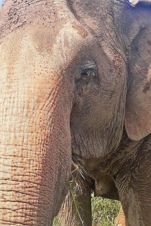 PRIVATE ISLAND TOUR VIP AROUND KOH SAMUI FULL DAY EXCURSION - FAQ