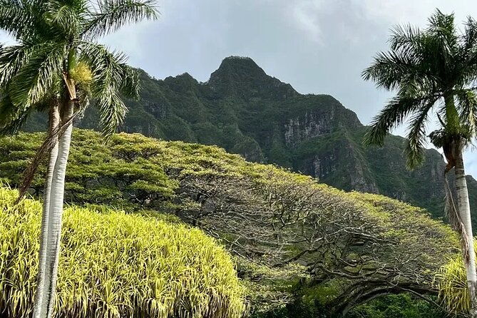 private-island-tours-and-charters-through-the-island-of-oahu