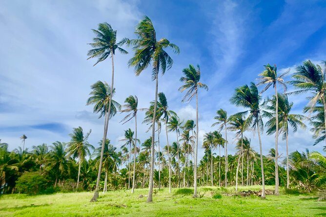 Private Islands Tour (Boat Charter, customized) - Final Thoughts