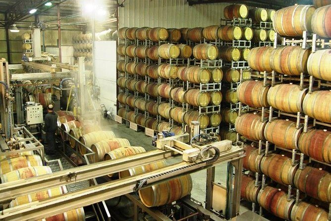 Private Israeli Wines Tour of the Central Israel - Visiting the Wineries: What’s in Store