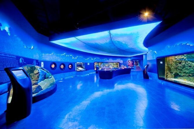 private-istanbul-full-day-daily-or-shopping-tour