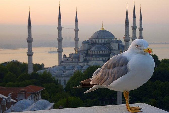 private-istanbul-layover-tour-from-airport