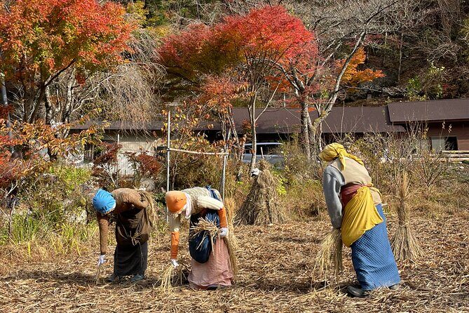 Private Iya Valley Half Day Tour - Why Choose the Private Iya Valley Half Day Tour?