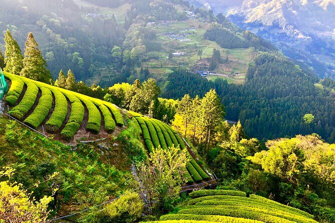 Private Iya Valley Half Day Tour - Who is This Tour Best For?