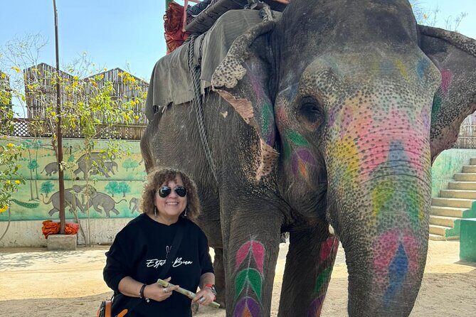 Private Jaipur Day Tour with Driver and Guide- All Inclusive - Key Points