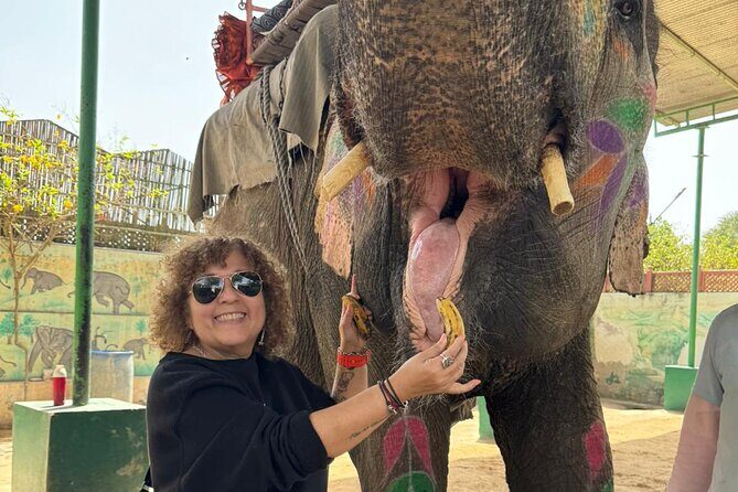 Private Jaipur Day Tour with Driver and Guide- All Inclusive - FAQ