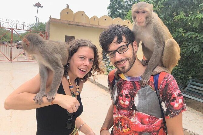 Private Jaipur Tuk-Tuk Tour with Monkey Temple - FAQs