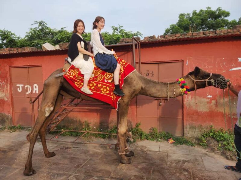 Private Jaipur(Pink City) Day Trip From Delhi By Car - Comfort and Convenience: Private Transport from Delhi