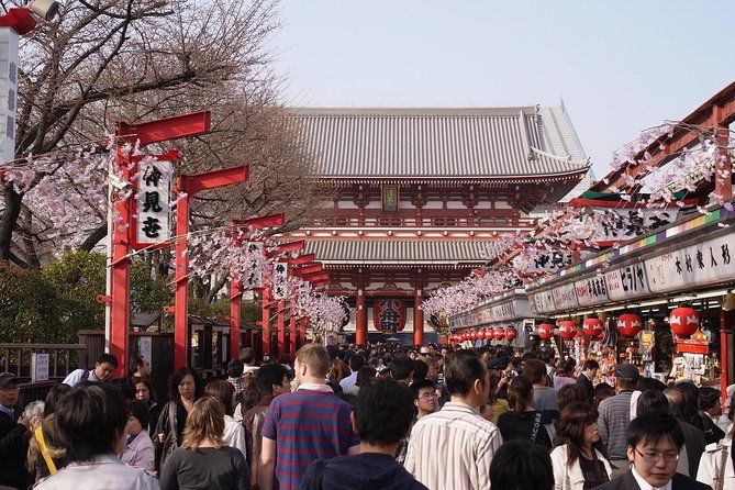 private-japanese-sample-food-making-and-asakusa-history-tour