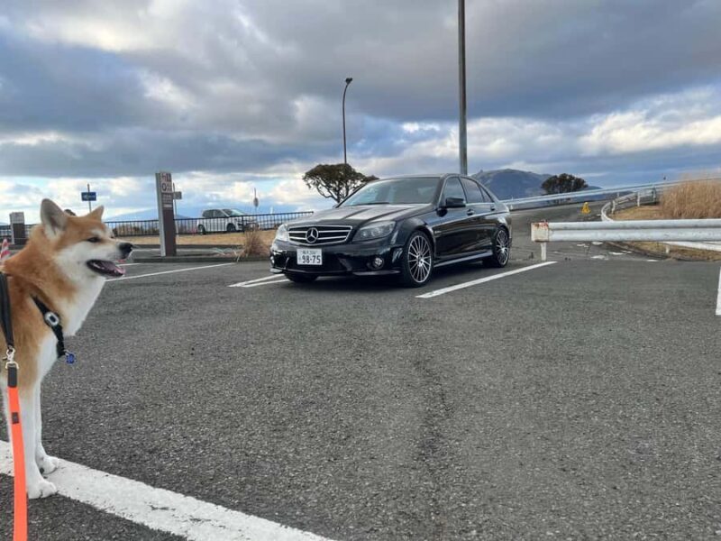 Private JDM scene tours to Daikoku PA, Umihotaru and Hakone - Why This Tour Is Worth Considering