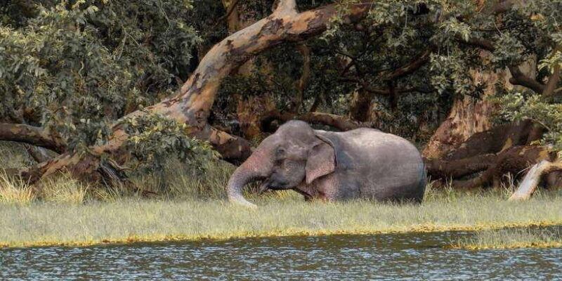 private-jeep-safari-to-one-of-the-best-national-parks