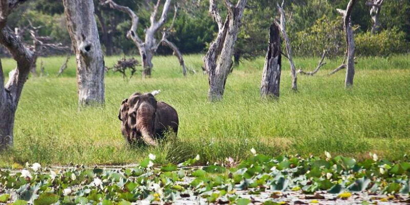 private-jeep-safari-to-one-of-the-best-national-parks