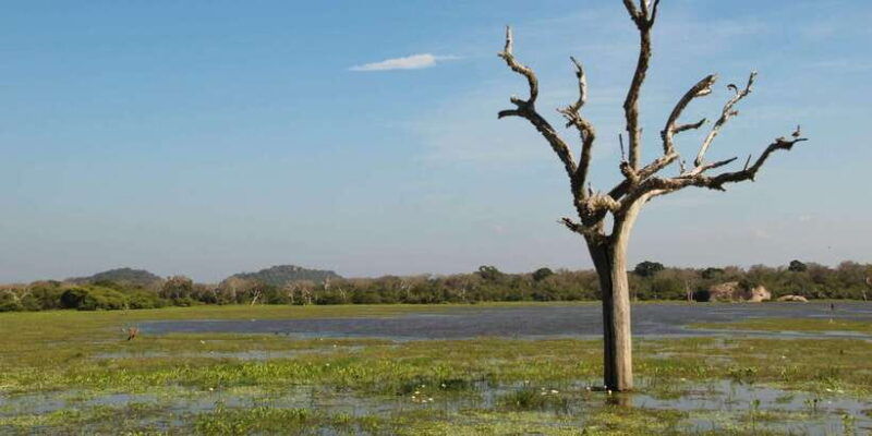private-jeep-safari-to-one-of-the-best-national-parks