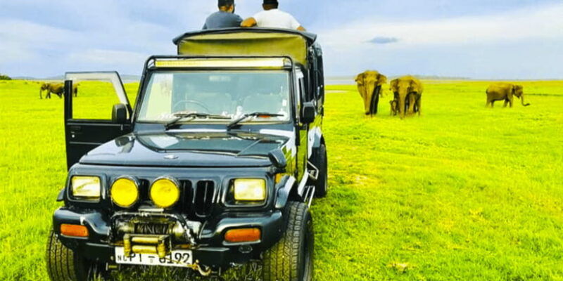 private-jeep-safari-to-one-of-the-best-national-parks