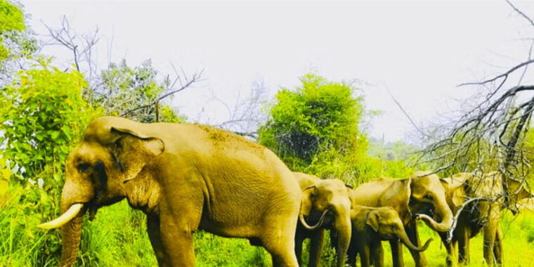 private-jeep-safari-to-one-of-the-best-national-parks