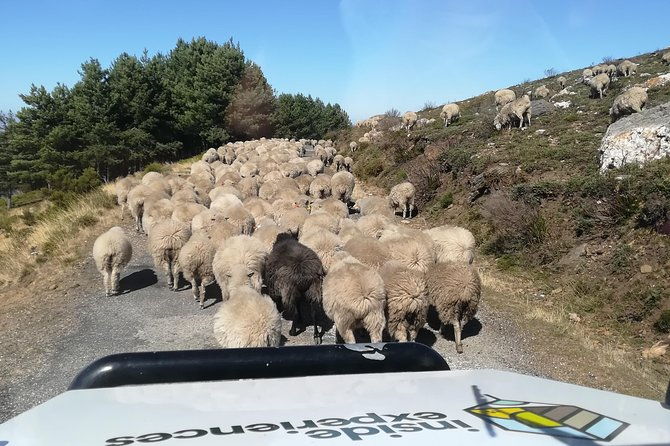 private-jeep-tour-of-marao-nature-2