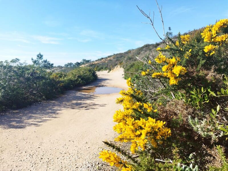 private-jeep-tour-to-espichel-mysteries-and-wild-beaches