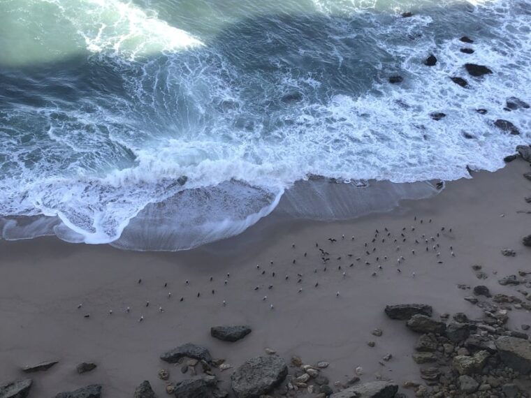 private-jeep-tour-to-espichel-mysteries-and-wild-beaches