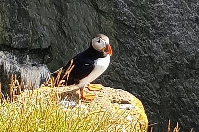 private-jeep-with-driver-guide-super-jeep