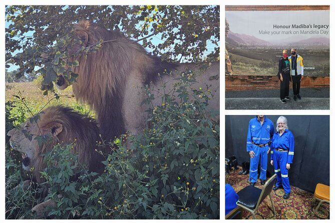 Private Johannesburg and Pretoria Tour - What to Expect at Various Stops