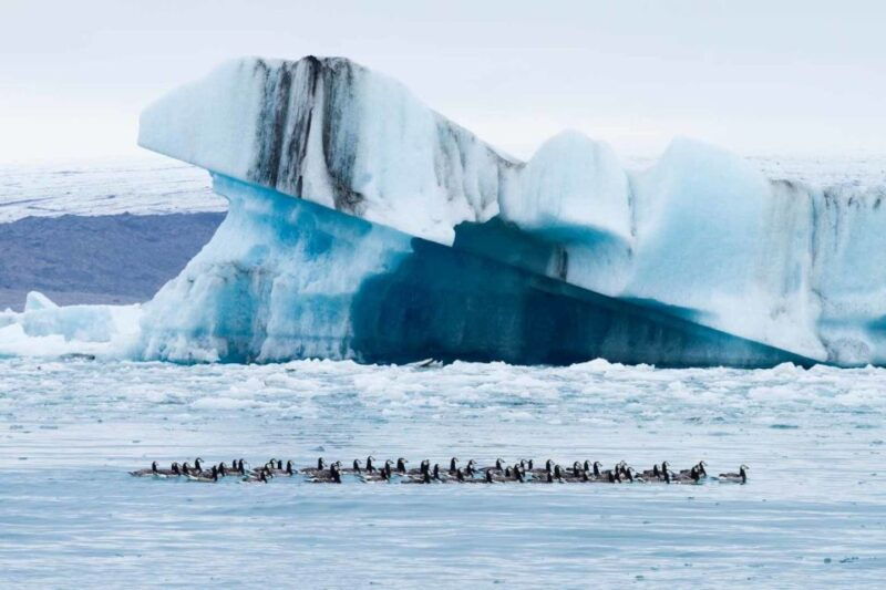 private-jokulsarlon-glacier-lagoon-tour