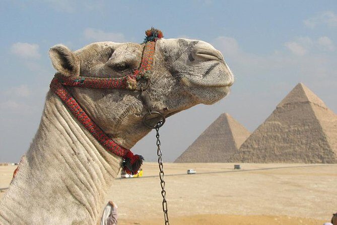 Private Journey :Grand Egyptian Museum & Giza Pyramids - An In-Depth Look at the Tour Experience