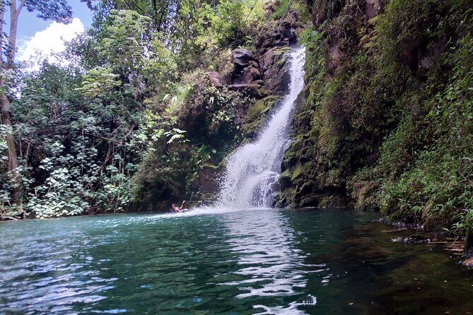 Private Jungle Waterfall Adventure, Wit Da Native Hawaiian Dundee - In-Depth Review of the Kauai Jungle Waterfall Adventure