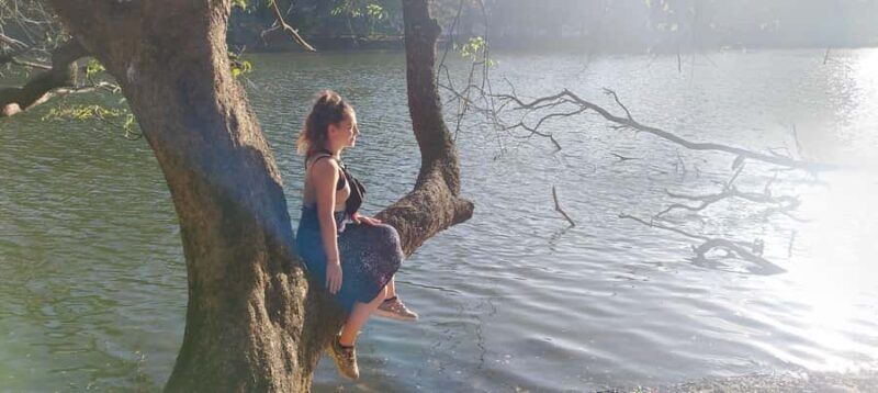 Private Kandy City Tour with Tuk-Tuk Ride - An In-Depth Look at the Tour Itinerary