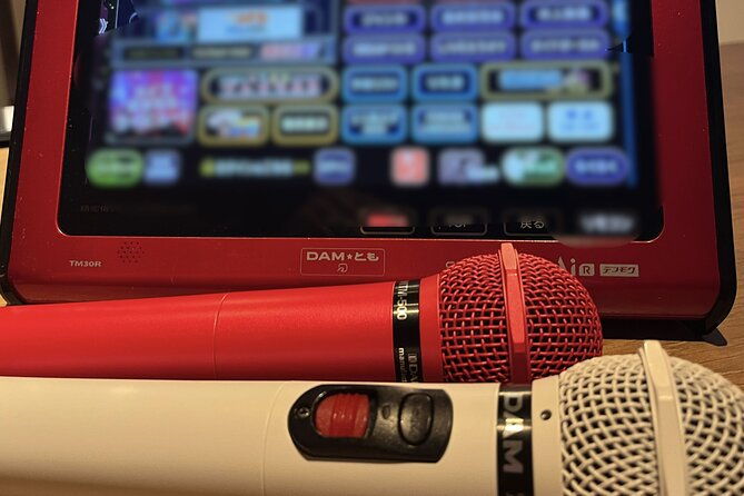 private-karaoke-lesson-in-shinjuku-bar