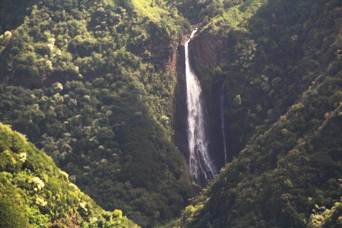 Private Kauai Airplane Tour - Authentic Experiences from Reviewers