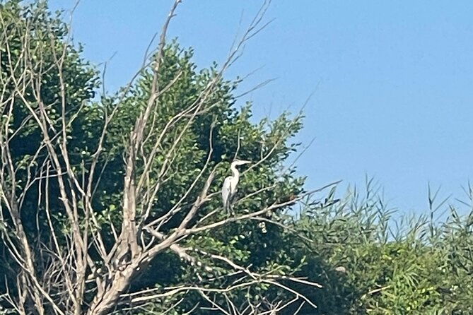 private-kayaking-experience-in-parga-area