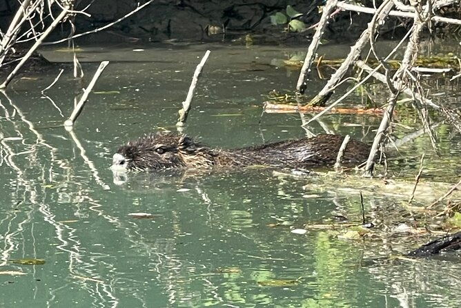 private-kayaking-experience-in-parga-area