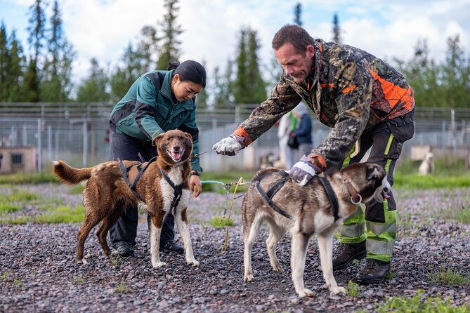 private-kennel-visit-and-atv-tour-with-the-huskies-2