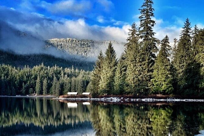 private-ketchikan-city-totems-wildlife-van-tour