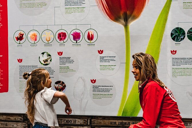 private-keukenhof-gardens-and-tulip-fields-tour-from-amsterdam-2