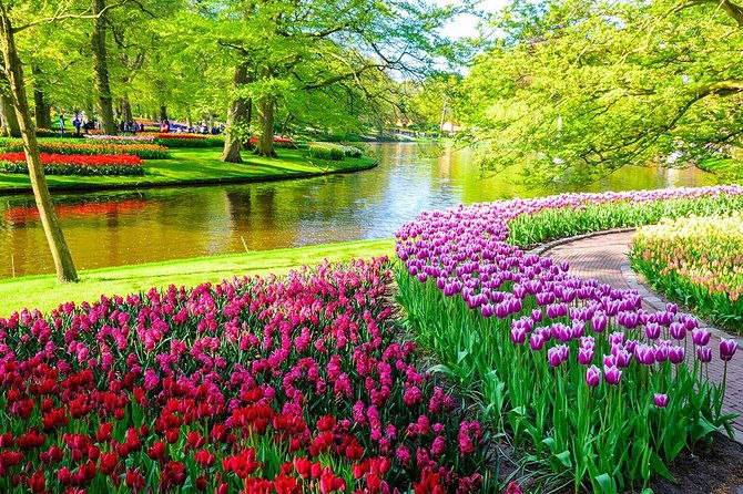 private-keukenhof-tulip-fields-tour-from-amsterdamskip-the-line