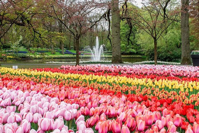 private-keukenhof-tulip-fields-tour-from-amsterdamskip-the-line