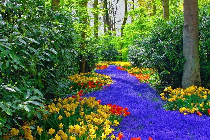 private-keukenhof-tulip-fields-tour-from-amsterdamskip-the-line