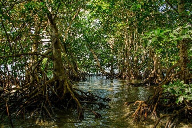Private Key West National Wildlife Refuge Eco Trip - The Itinerary: A Typical Day on the Water